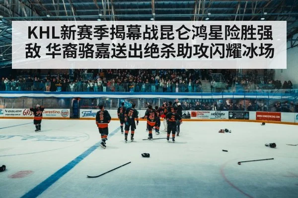 ice hockey arena crowd